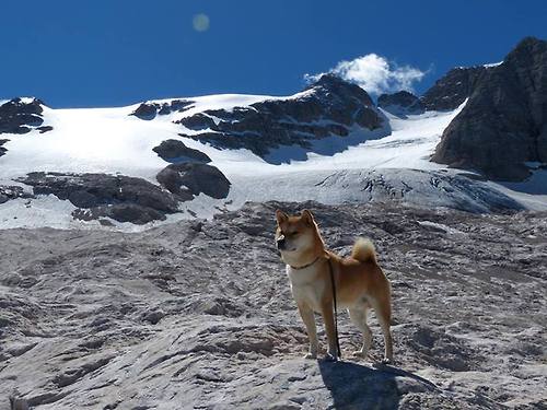 体育科研数据库系统设计与文献资源整合路径,体育科学研究文献